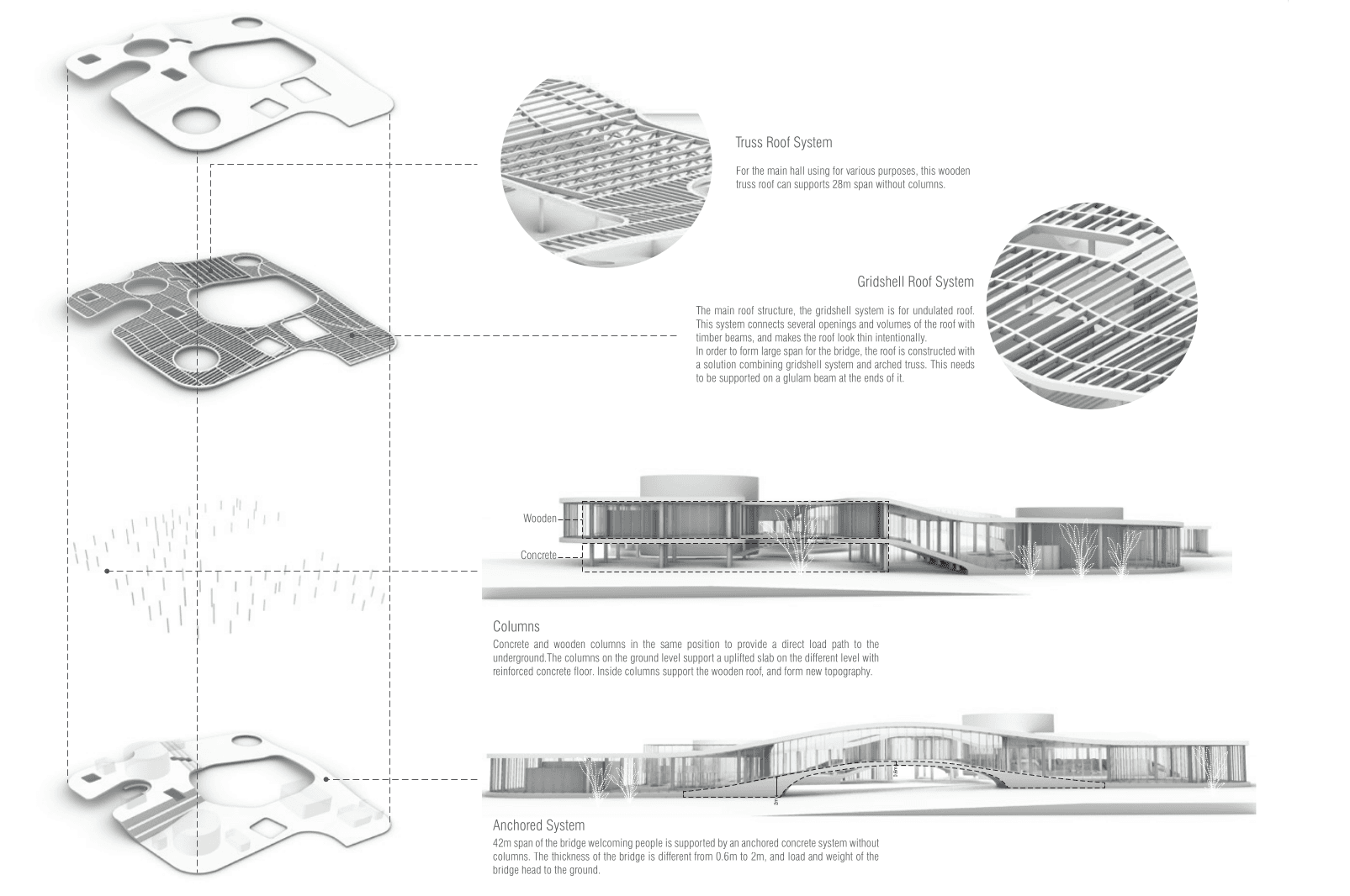 Civic gathering space with vegetation and diffused northern light